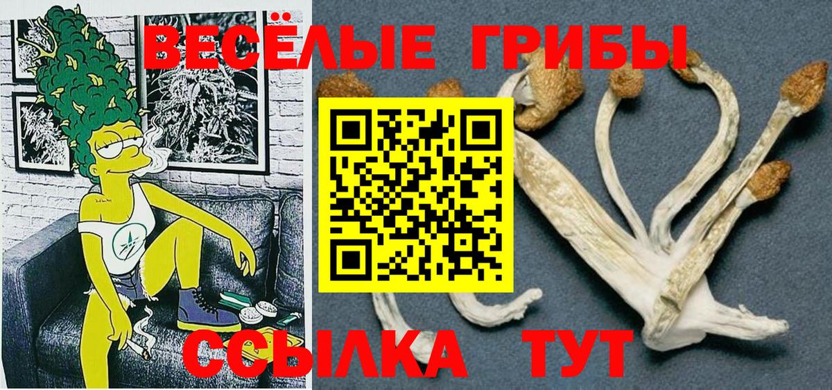 Псилоцибиновые грибы Cubensis  Вход с VPN  Нарткала  Псилоцибиновые грибы GOLDEN TEACHER 